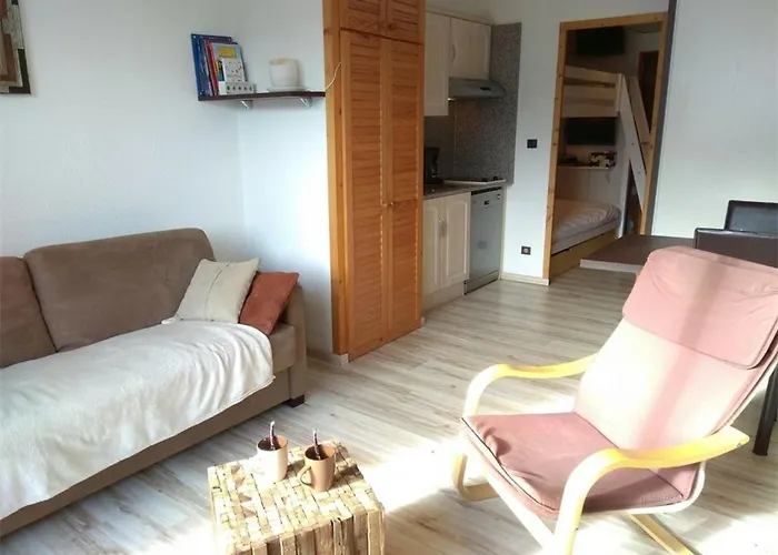 アパート Confortable Pour 4 Personnes Avec Balcon A Piau-engaly - Fr-1-457-226 アラヌエ